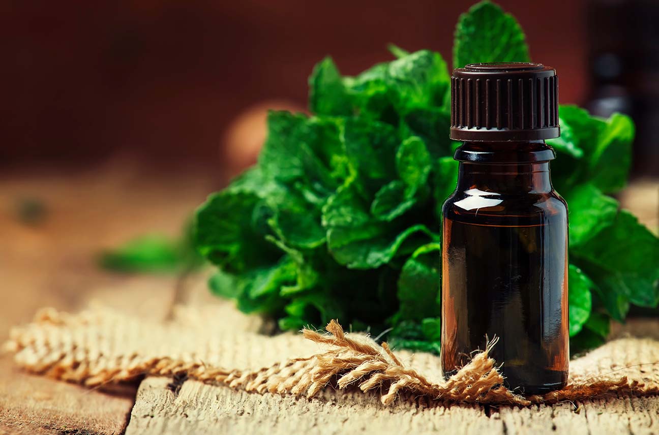 peppermint pain relief essential oil